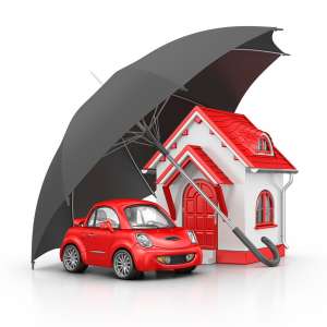 ��� ���� �����������. - ����������� 1