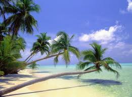 ��� ���� ������������� ����� - ����������� 1