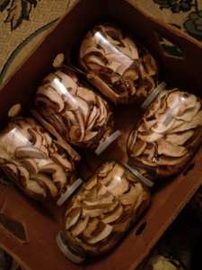 ��� ����� - ����������� 1