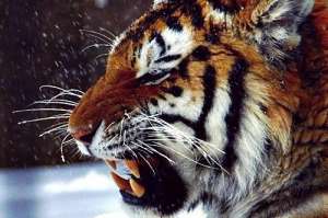 ��� ����� � �����!! - ����������� 1