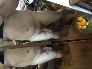 ��� ����� ��� ����� - ����������� 1