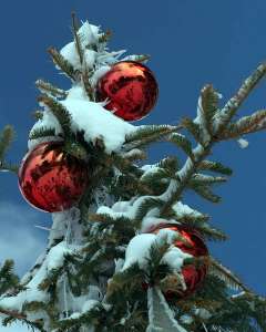 ��� ����� ����� ��� ����, ������ �� ����� ��� �� �����, ������� �������-���������� ����� ��� - ����������� 1