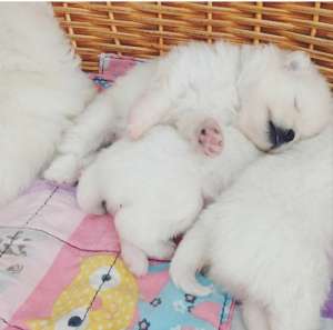 ��� ����� ���������, ����� ���� �����, �� ��������� ������� ������ - ����������� 1