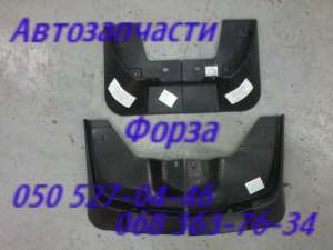 ��� ����� ���������, ������ ��������� ,����������. ������������. Forza . - ����������� 1