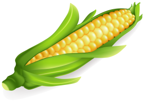 ��� "�����" ���������� ������������ ������ �������� �� ������������� - ����������� 1