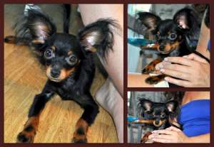 ��� ������ ����� �������������� ������ - ����������� 1