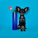 ��� ������ ����� �������������� ������ - ����������� 2