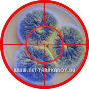 ��� ������ ������� �� ����, ���������. ��� ���������� �� ������ � ������. - ����������� 1