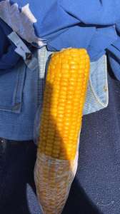 ��� ������� 30-45 ��� ���������� ��������� ��������� � ��. ����� - ����������� 1