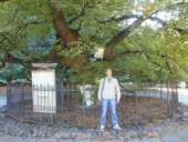 ��� ������� - ����������� 2