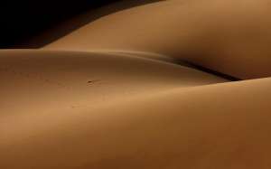 ��� ������� � ��������� - ����������� 1