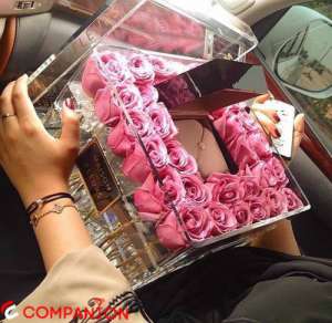 ��� ������� �� 33 - ����������� 1