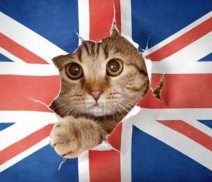 ��� ������� �� ������� � ������� ��� ������? - ����������� 1