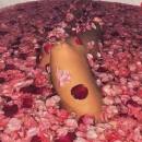 ������� � ����������: ��� ������� ��� ��������� ���������