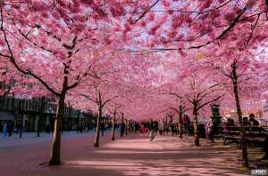 ��� ������� ���� �� �������� 1 ���, ��� ���������� �� ������� �� ����� �������� - ����������� 1