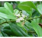 ��� ������� ����� 5 �� - ����������� 1