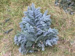 ��� ������� ����� �� ����� ������������� - ����������� 1