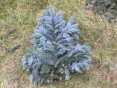 ������� � ����������: ��� ������� ����� �� ����� �������������