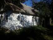 ������� � ����������: ��� �������. ������ ������ ���. ������ ���. ��� ��������, 60 ����� �����.