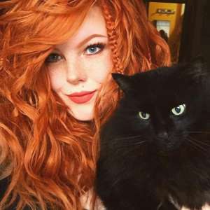 ��� - �������, ������, ����������� - ����������� 1