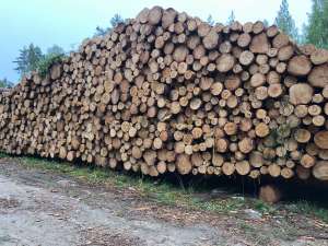 ��� ������� ���������� �������� ������ ���� - ����������� 1