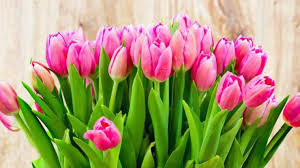 ��� �������� �� 8 �����, ��� � ������� 8 �����, ��� �� ����� 8 ����� - ����������� 1