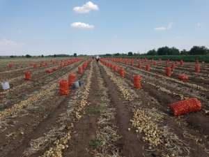 ��� �������� ����� �� ������ � ���������. ������ 2018 ���� - ����������� 1