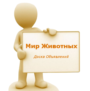 ��� �������� ����� ���������� ��� ��������� ������ - ����������� 1