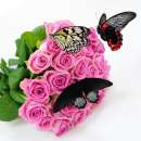 ��� �������� - ������ �������� ������, ��������! - ����������� 3