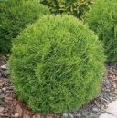 ��� �������� "�������" � ������ ����� ��� ������ � ����� �������� - ����������� 3