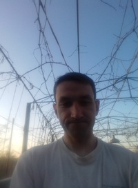 ��� �������� ������� ��� ��������� ��������� - ����������� 1