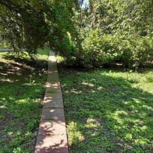 ��� ��������. ������� ���������� ������������� �����, ������ ������. - ����������� 1