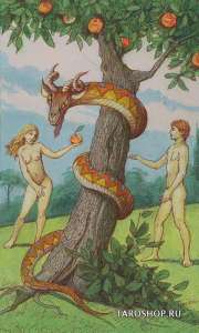 ��� �������� ��������. �������� ��� ������� ������ ��� ����. �������. ����������� �������� - ����������� 1