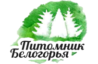 ��� �������� ��������� - ����������� 1