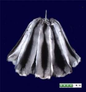 ��� �������� ����������� ������� - ����������� 1