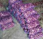 ��� ���������