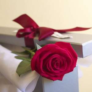 ��� ���������) - ����������� 1