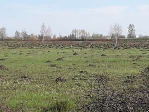 ��� ���������, ������ ��������, ��������������� - ����������� 1