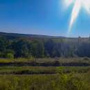 ��� ��������� �������, �� 25 ����� � ����������, ������������ �-�� �������� ������� - ����������� 2