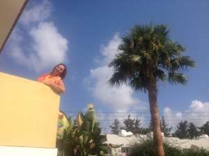 ��� ��������� ��������� - ����������� 1