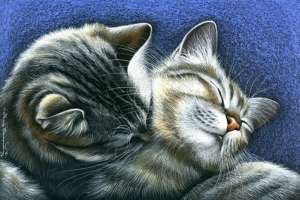 ��� ��������� ��������� � �������� � ����� - ����������� 1