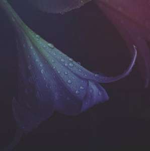 ���, ���������. ������������� ������� �������. - ����������� 1