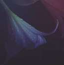 ������� � ����������: ���, ���������. ������������� ������� �������.