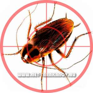 ��� ���������� �� ����? - ����������� 1