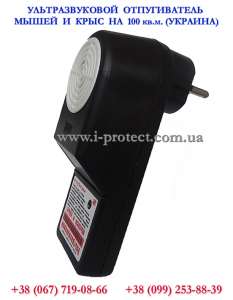 ��� ���������� �� ����� � ���� � ���� - ����������� 1