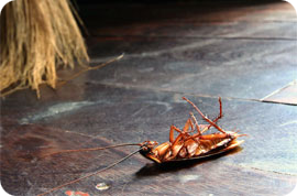 ��� ���������� �� ������ ������ � ��������, ����� ����������� ������, ����, ���������? - ����������� 1