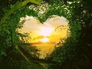 ��� ���������� ������� 30+ ��� ��������� ���������. ���������,�����������,����������������. ��� �/�!! - ����������� 1