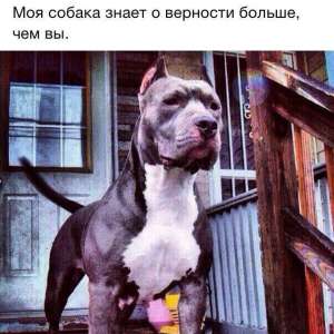 ��� ���������� ������� 30+ ��� ��������� ���������. ���������,�����������,����������������. ��� �/�!! - ����������� 1