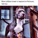 ������� � ����������: ��� ���������� ������� 30+ ��� ��������� ���������. ���������,�����������,����������������. ��� �/�!!