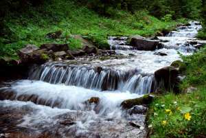 ��� ���������� ������� ���� �������, ��� ������� 1 ���, ���� ������ ��������� ��� - ����������� 1